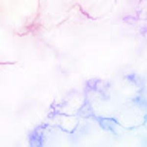 Meet your Posher, Sadie